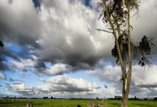 绿军轮休三巨头仍横扫开拓者5连胜 塔图姆30+9+9单节轰18分.