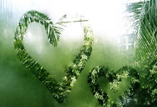 惺惺相惜！郑钦文在采访中说张雨霏激励了自己央视新闻客户端.