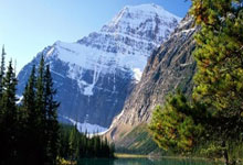 惺惺相惜!郑钦文在采访中说张雨霏激励了自己央视新闻客户端.