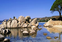 1XBET官方网站：国安vs成都最后时刻争议判罚：按规则应以坠球恢复比赛.